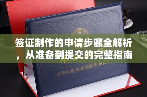 沣西签证制作的申请步骤全解析，从准备到提交的完整指南