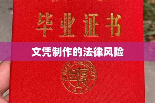 沣西文凭制作的法律风险