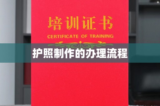 沣西护照制作的办理流程