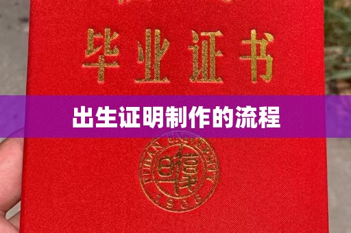 沣西出生证明制作的流程