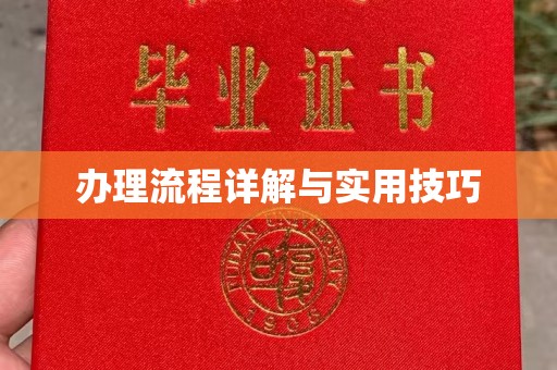 沣西办理流程详解与实用技巧