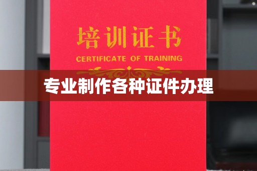 沣西专业制作各种证件办理
