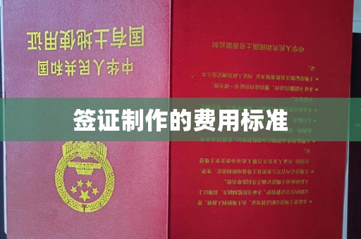 沣西签证制作的费用标准