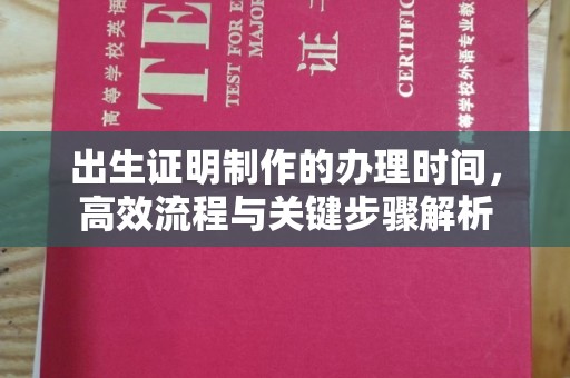 沣西出生证明制作的办理时间，高效流程与关键步骤解析