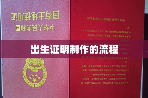 沣西出生证明制作的流程