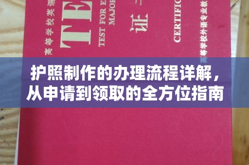 沣西护照制作的办理流程详解，从申请到领取的全方位指南