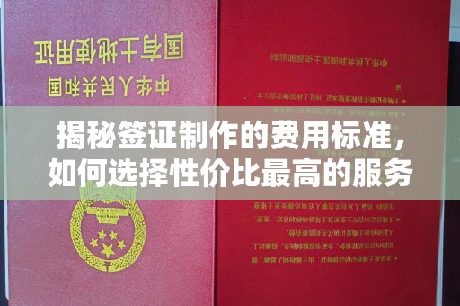 沣西揭秘签证制作的费用标准，如何选择性价比最高的服务？