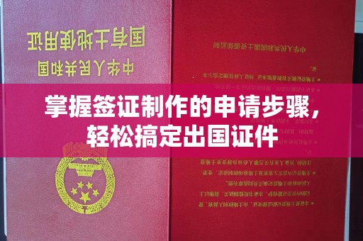 沣西掌握签证制作的申请步骤，轻松搞定出国证件