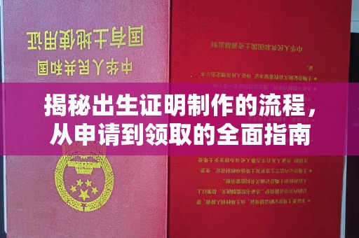 沣西揭秘出生证明制作的流程，从申请到领取的全面指南