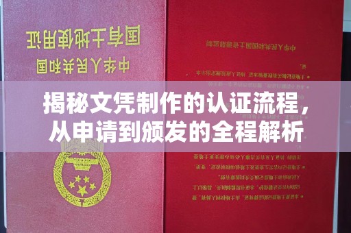 沣西揭秘文凭制作的认证流程，从申请到颁发的全程解析