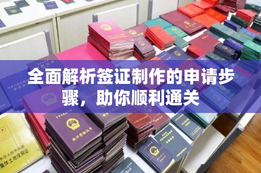 沣西全面解析签证制作的申请步骤，助你顺利通关