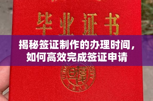 沣西揭秘签证制作的办理时间，如何高效完成签证申请
