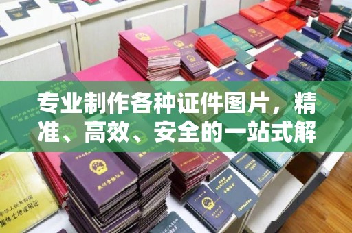 沣西专业制作各种证件图片，精准、高效、安全的一站式解决方案