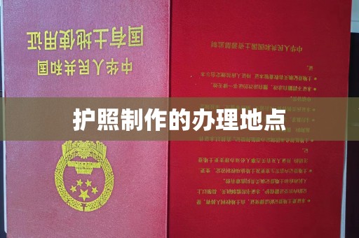 沣西护照制作的办理地点