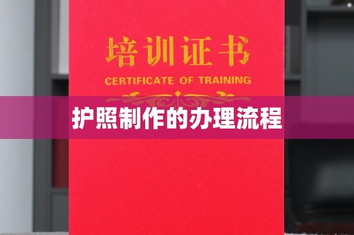 沣西护照制作的办理流程